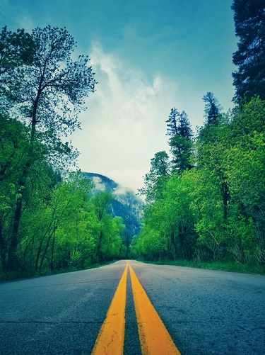 Basic Takeaways on Sweeping Changes to Michigan’s No-Fault Law for Auto Accidents